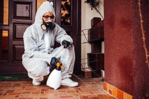 Reliable Wasp Removal contractor in Esparto, CA by Show Me Pest Control